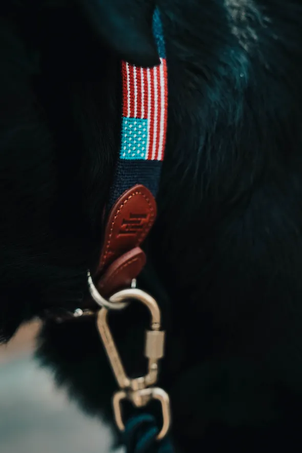 American Flag Needlepoint Collar