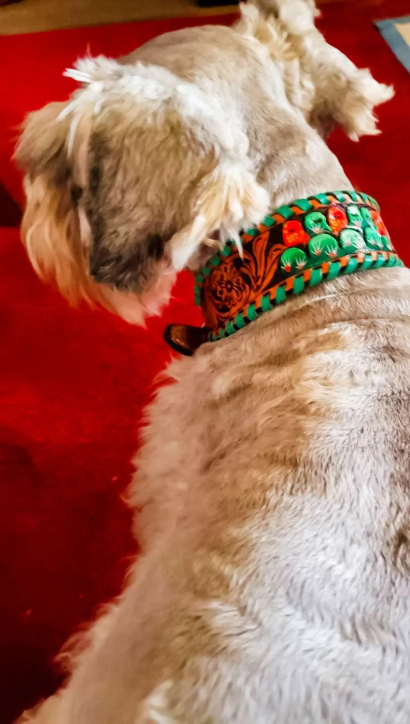 Cactus Dog Collar