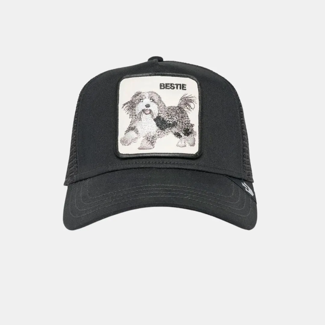 Goorin Bros Cap The Bestie Dog Black