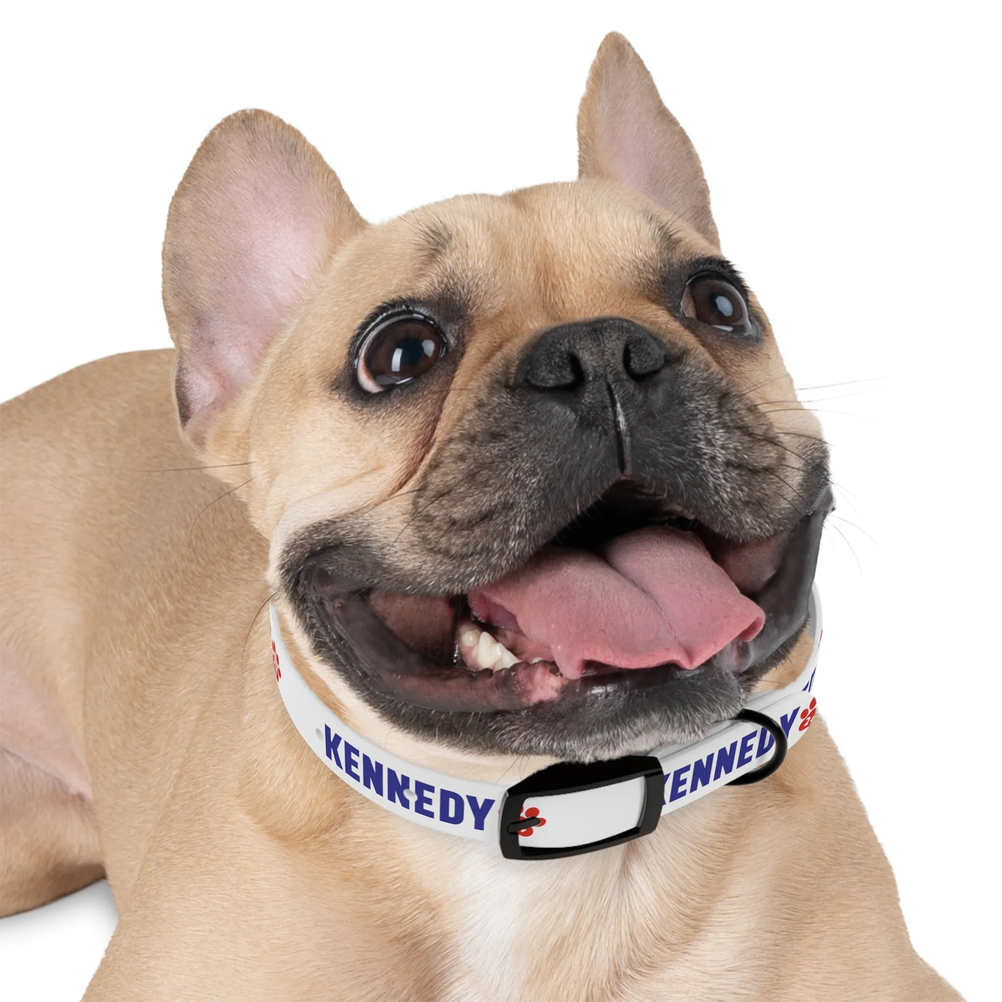 Kennedy '24 Dog Collar