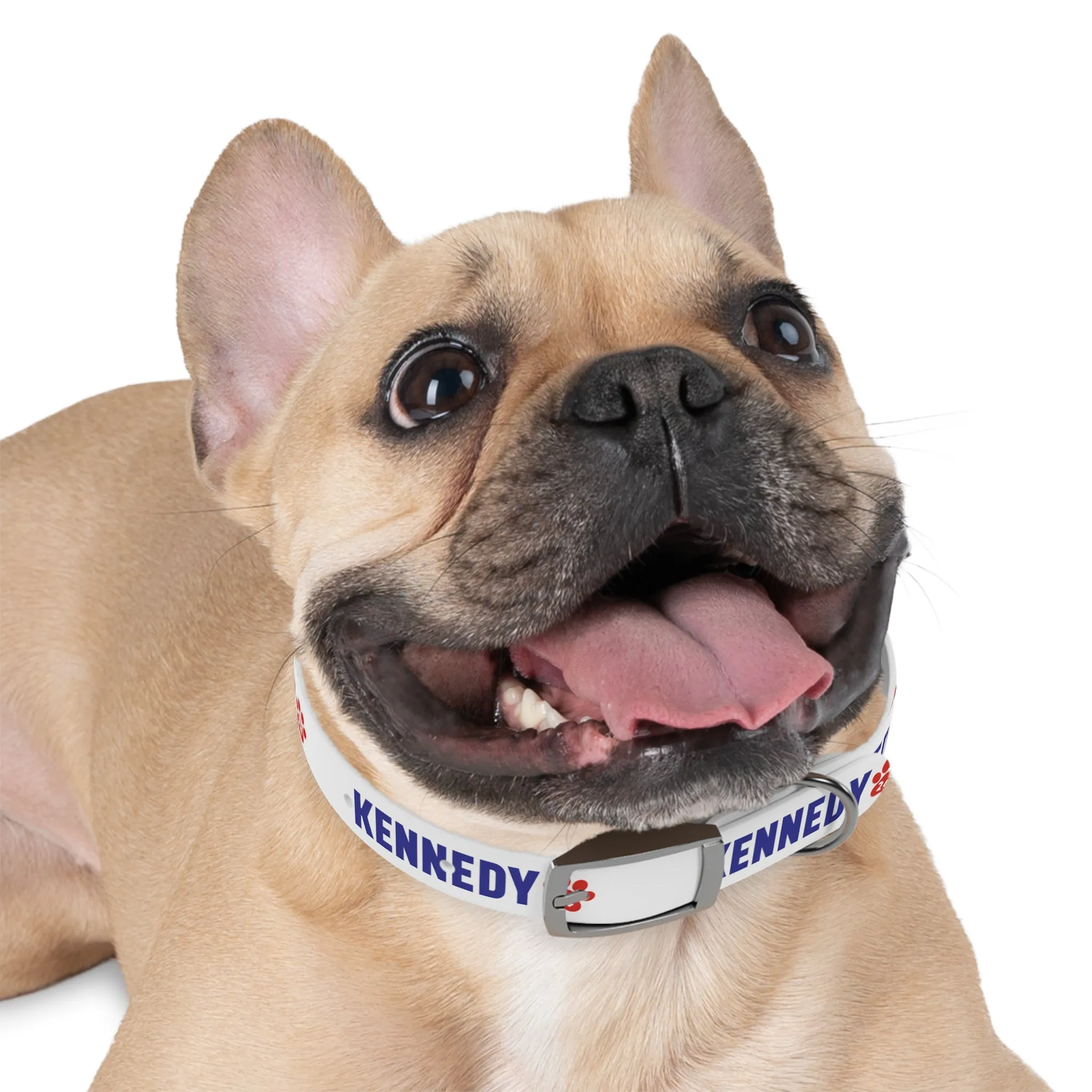 Kennedy '24 Dog Collar