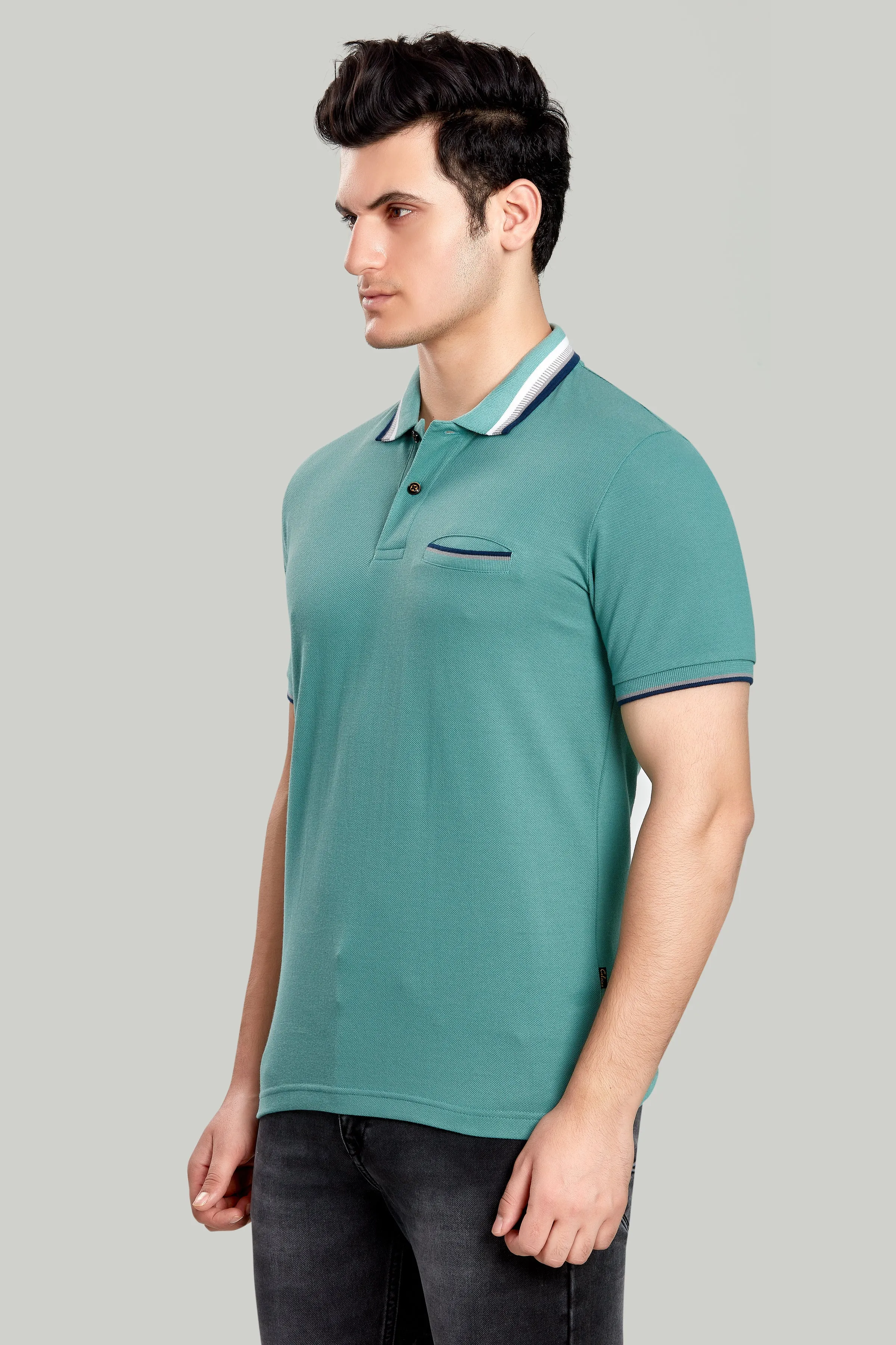 Tipped Collar Solid Polo